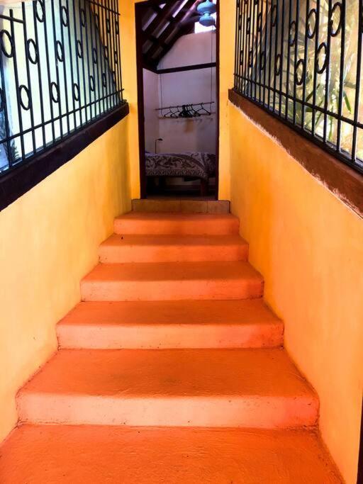 Villa Del Idaan Bocas Town Kültér fotó
