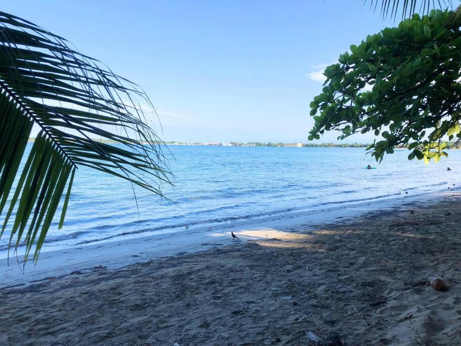 Villa Del Idaan Bocas Town Kültér fotó