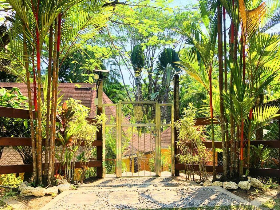 Villa Del Idaan Bocas Town Kültér fotó
